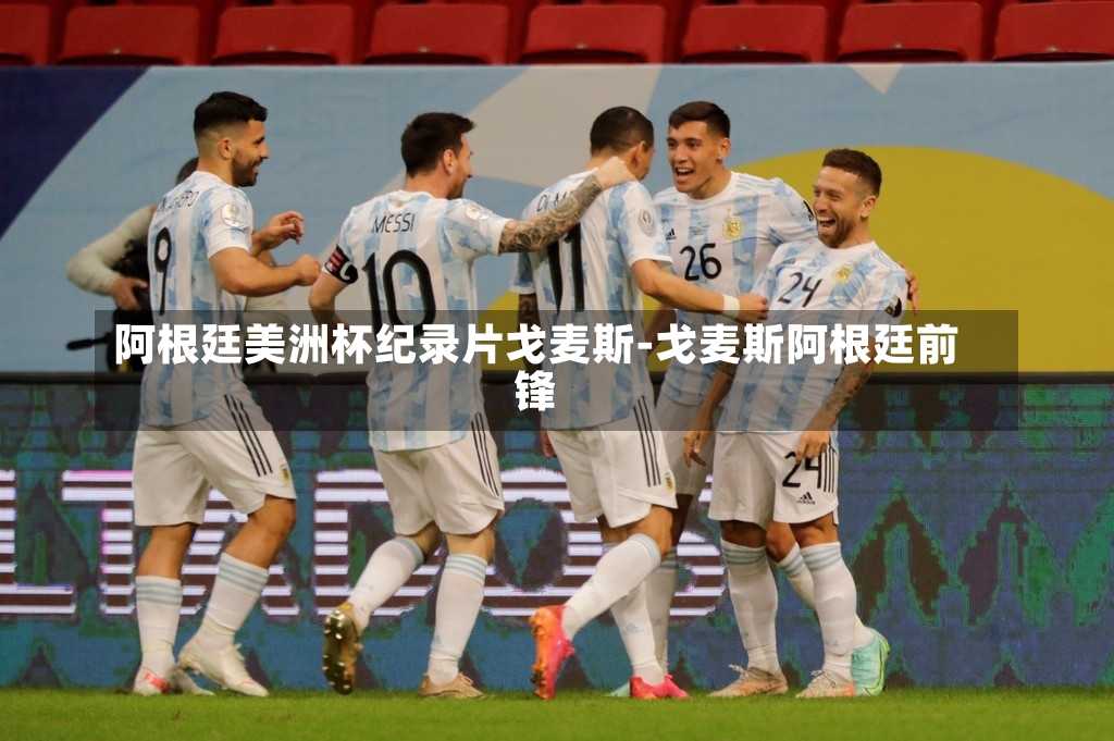阿根廷美洲杯纪录片戈麦斯-戈麦斯阿根廷前锋