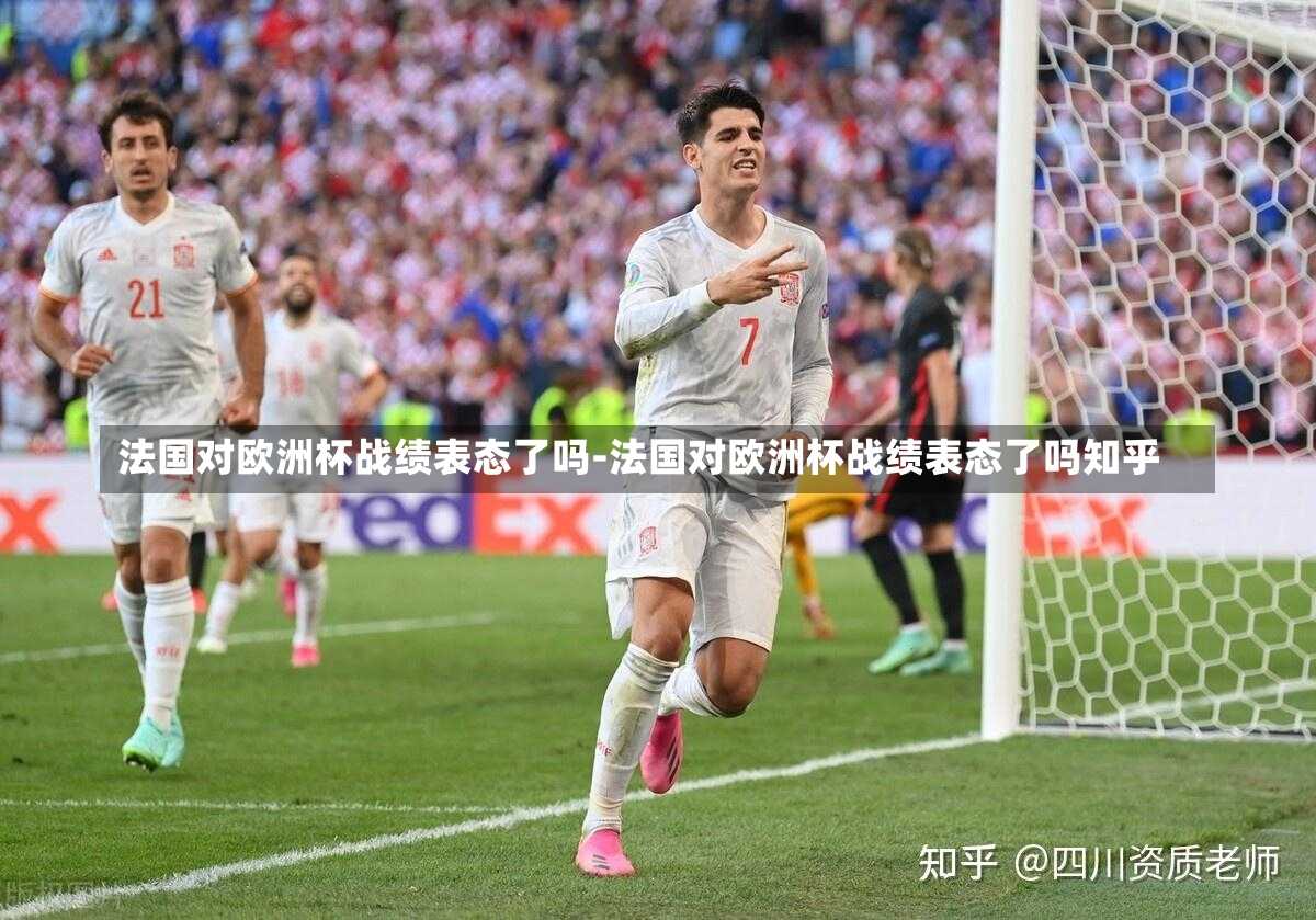 法国对欧洲杯战绩表态了吗-法国对欧洲杯战绩表态了吗知乎