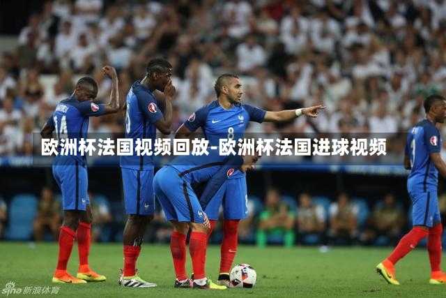 欧洲杯法国视频回放-欧洲杯法国进球视频