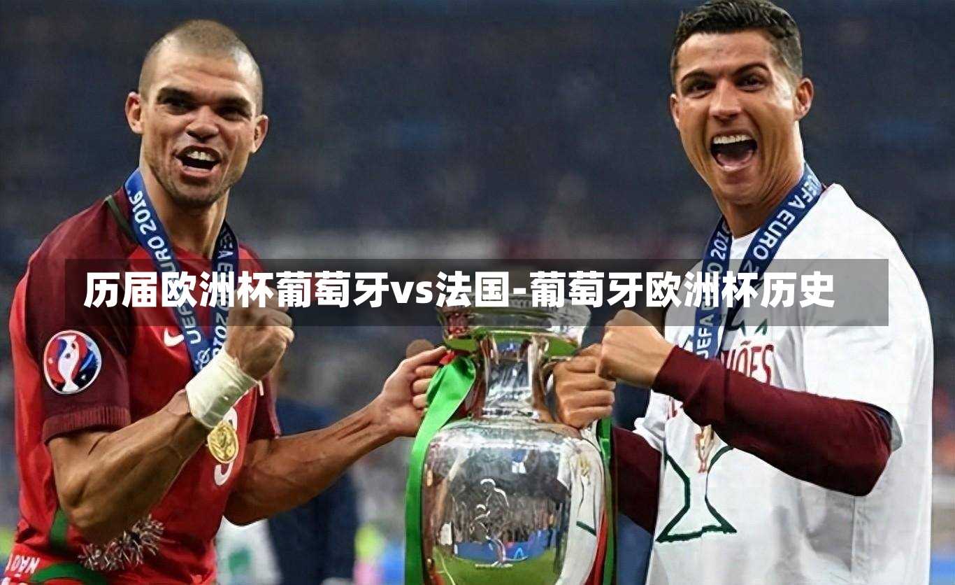 历届欧洲杯葡萄牙vs法国-葡萄牙欧洲杯历史