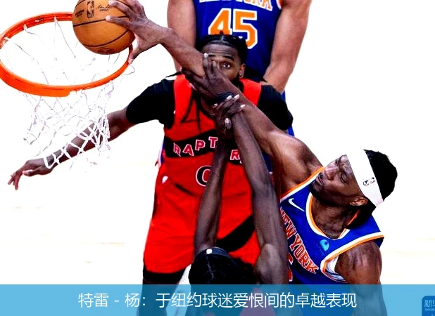 特雷 - 杨：于纽约球迷爱恨间的卓越表现