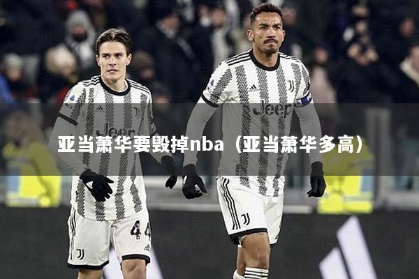 亚当萧华要毁掉nba（亚当萧华多高）