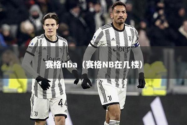 赛格nba（赛格NB在几楼）