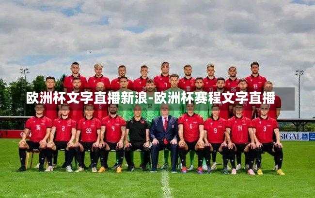 欧洲杯文字直播新浪-欧洲杯赛程文字直播