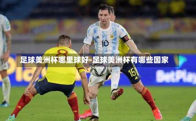 足球美洲杯哪里球好-足球美洲杯有哪些国家