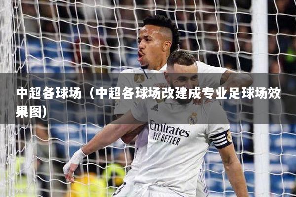 中超各球场（中超各球场改建成专业足球场效果图）