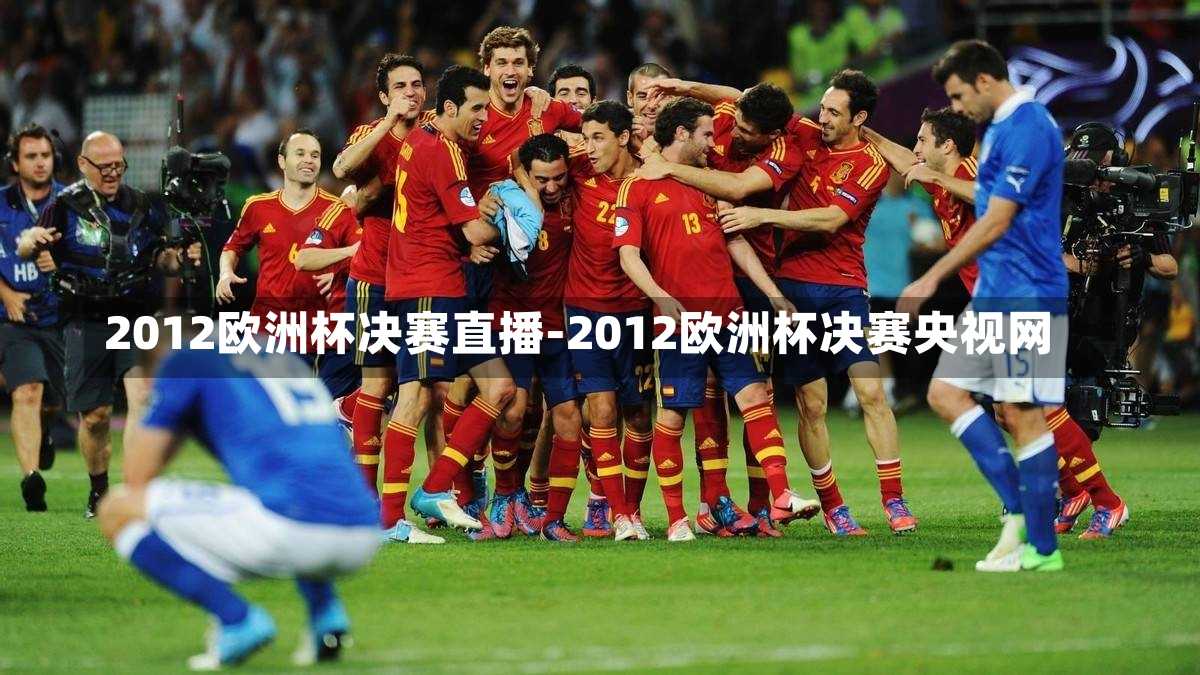 2012欧洲杯决赛直播-2012欧洲杯决赛央视网
