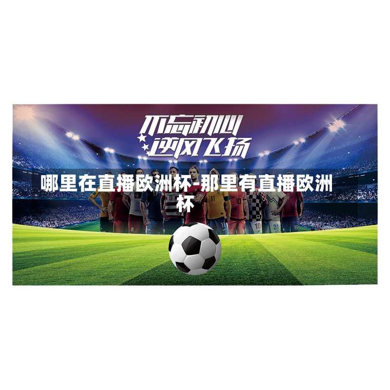 哪里在直播欧洲杯-那里有直播欧洲杯