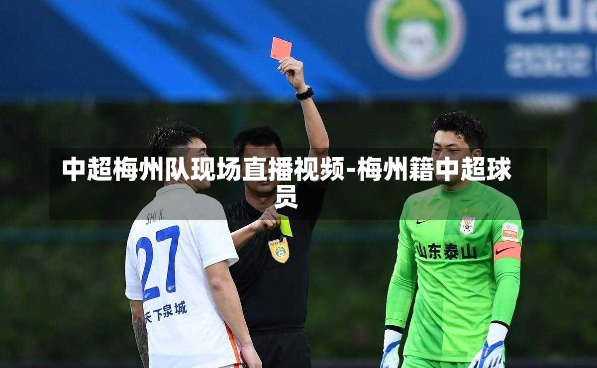 中超梅州队现场直播视频-梅州籍中超球员