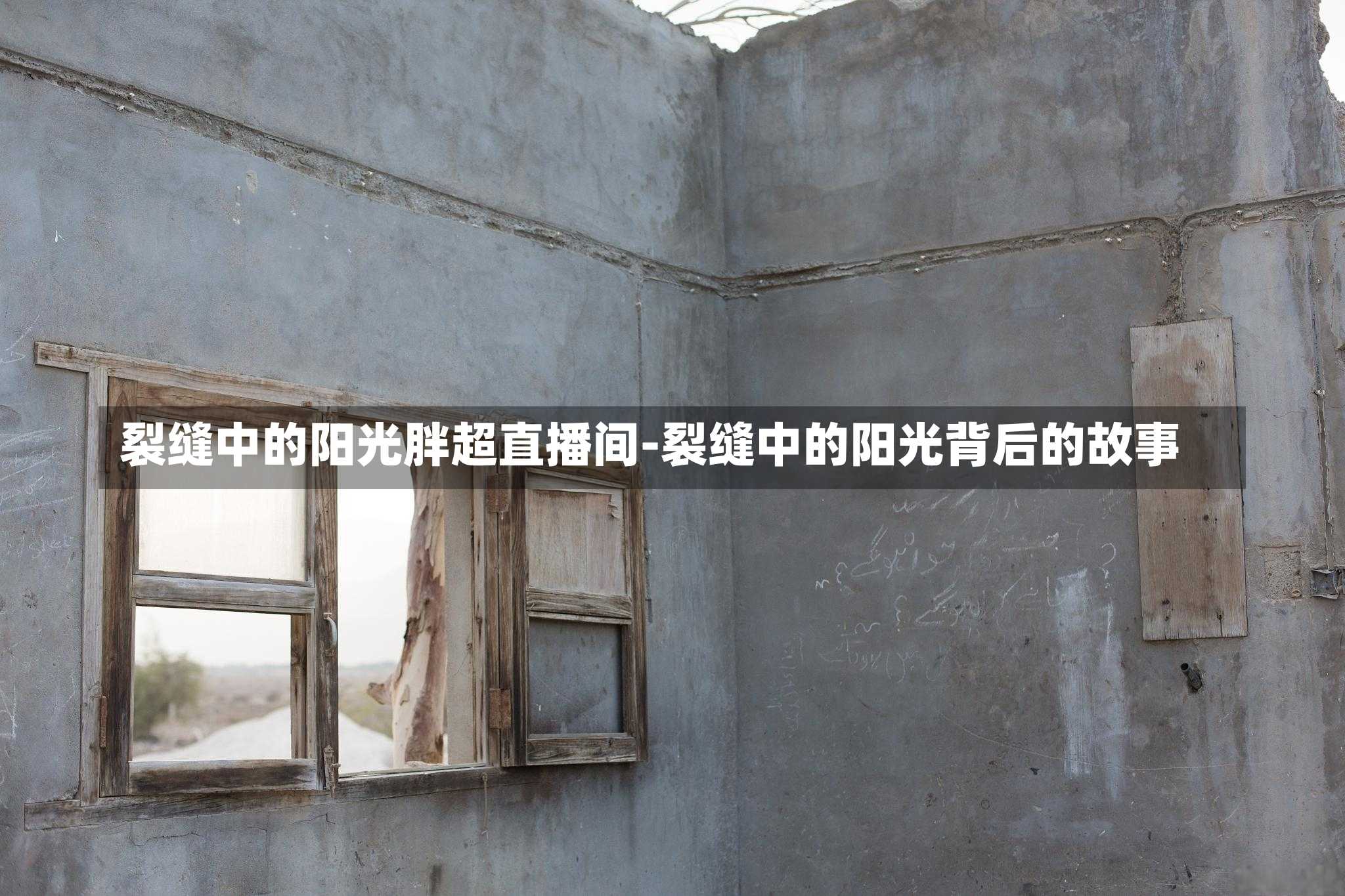 裂缝中的阳光胖超直播间-裂缝中的阳光背后的故事