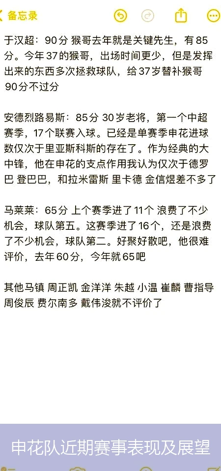 申花队近期赛事表现及展望