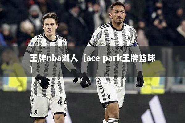 王牌nba湖人（ace park王牌篮球）
